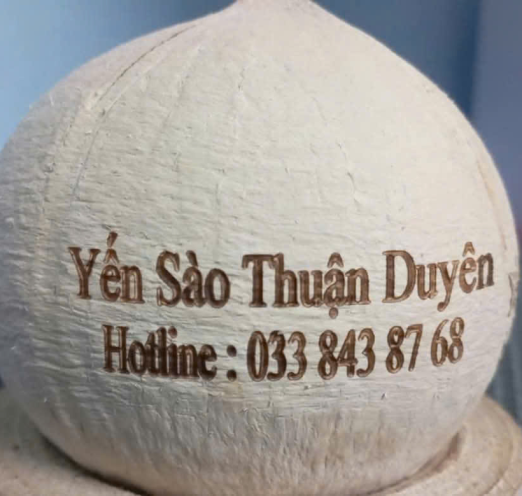 Yến tiềm dừa xiêm nguyên quả
