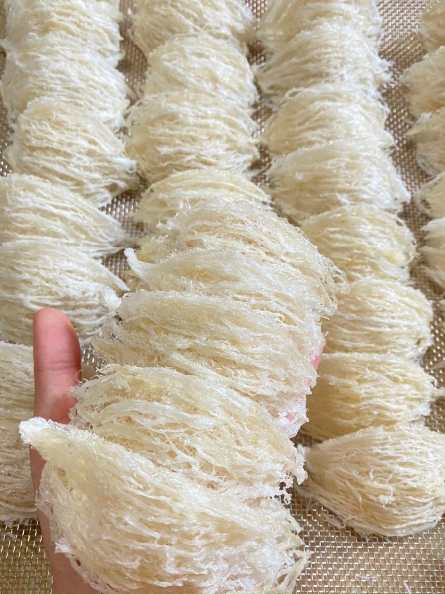 yến tinh chế dạng sợi lộc ninh 