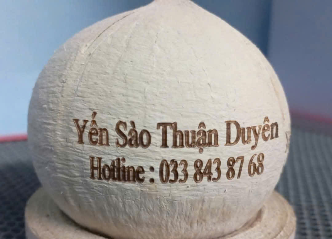 yến chưng tươi chất lượng lộc ninh, bình phước