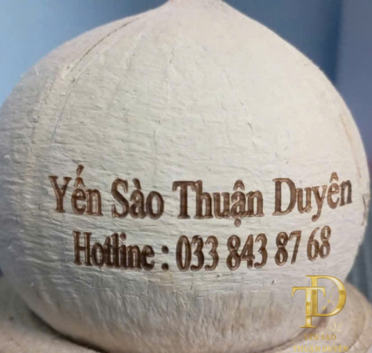 Yến tiềm dừa xiêm nguyên quả
